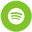 Spotify-Icon-green