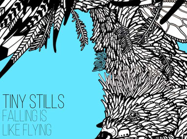 Tiny Stills | Falling is Like Flying