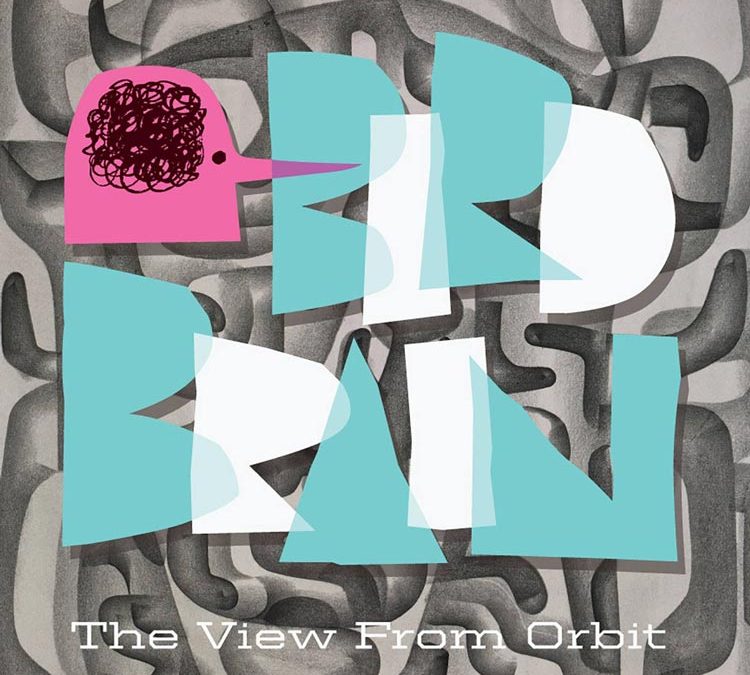 Birdbrain | The View From Orbit