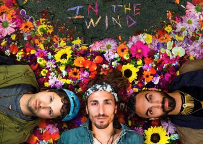 MAGIC GIANT | In the Wind