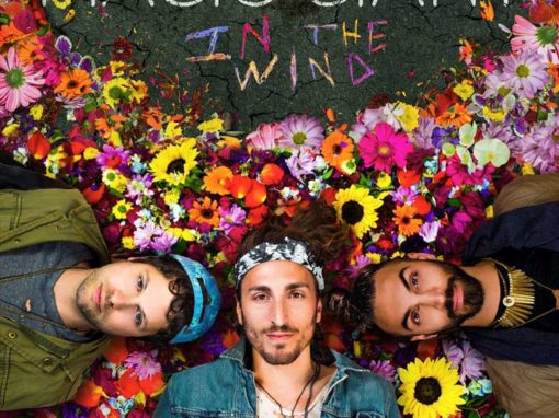 MAGIC GIANT | In the Wind