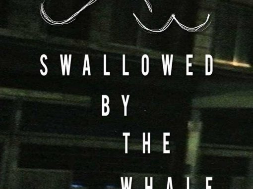 Swallowed by the Whale | D.S.L.