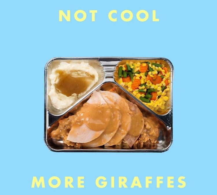 More Giraffes | Not Cool